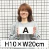 英字プレート H100×200mm