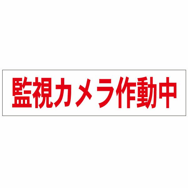 監視カメラ作動中