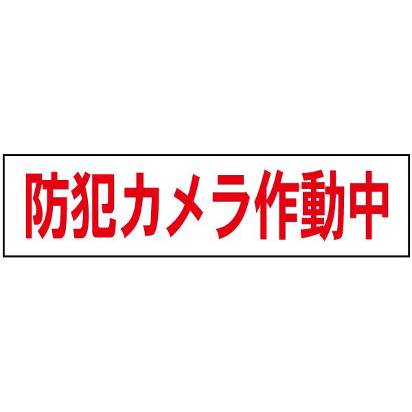 防犯カメラ作動中