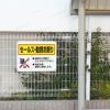 社名入れ無料