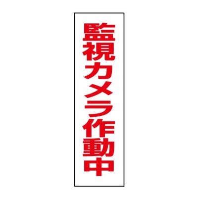 監視カメラ作動中