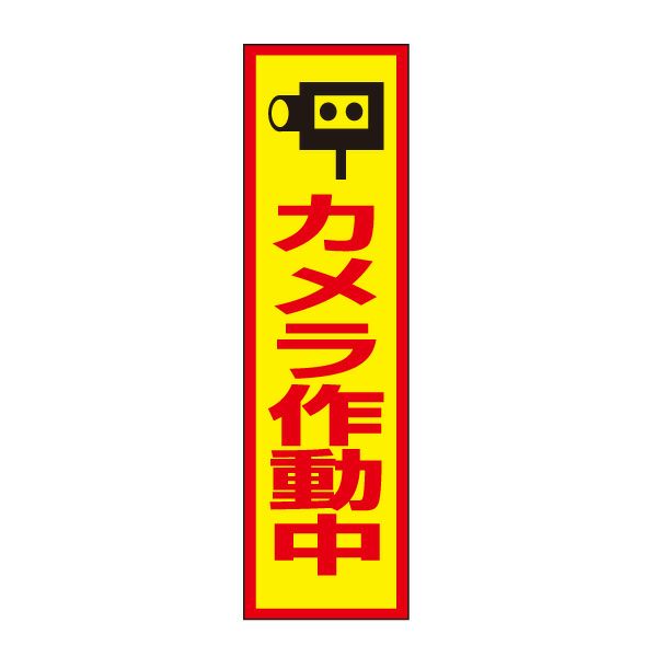 カメラ作動中