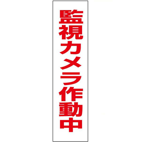 監視カメラ作動中