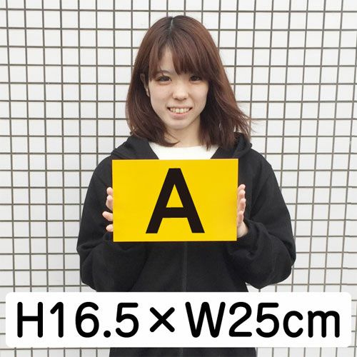 英字プレート 反射 H165×250mm