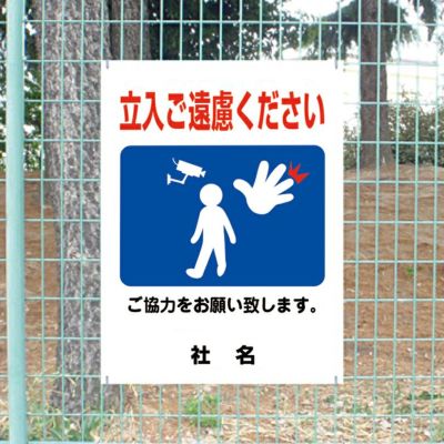 000000003746-01-m.jpg?t=