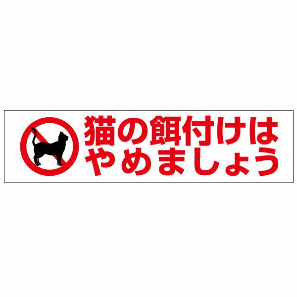 猫の餌付けはやめましょう