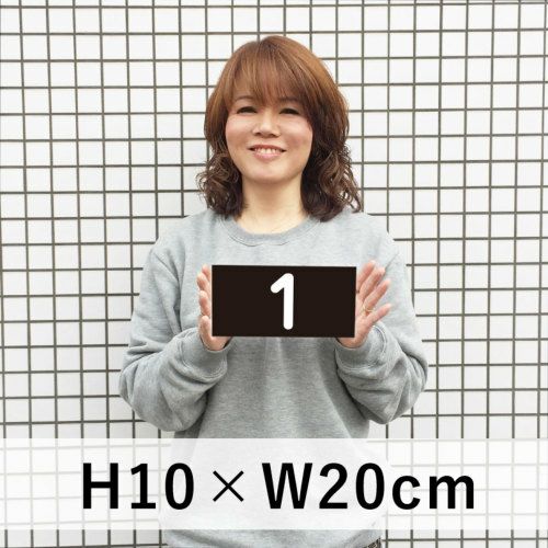 番号プレート ブラック 100×200mm