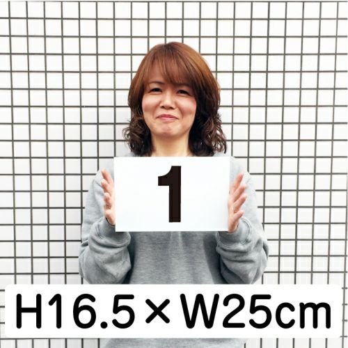番号プレート 10枚セット 165×250mm