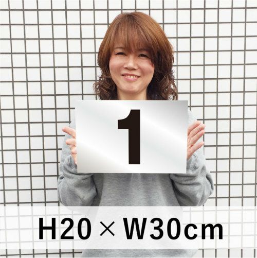 番号プレート シルバー 30枚 200×300mm