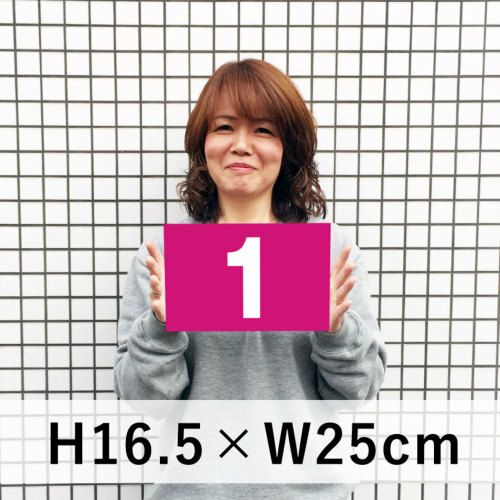 番号プレート ピンク 165×250mm
