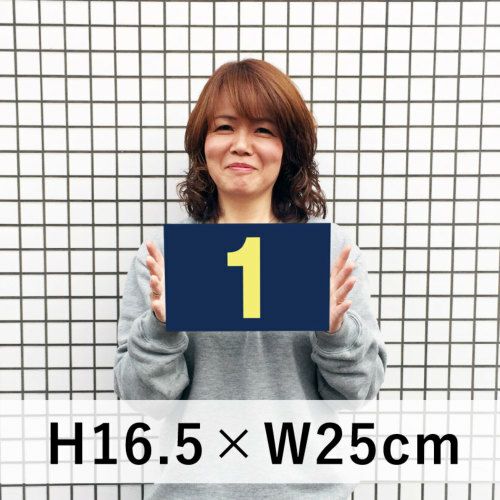 番号プレート ネイビー 165×250mm