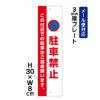 駐車禁止